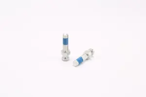 Irregular Screws 2 04 1 Irregular-Screws-2-04 (1)