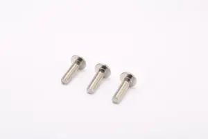 Stainless Steel Screws 02 Stainless-Steel-Screws-02