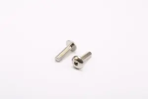 Stainless Steel Screws 04 Stainless-Steel-Screws-04