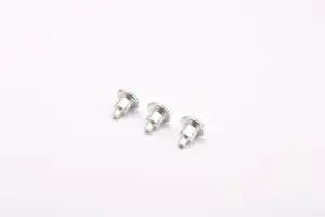 Step Rivets Type 2 05 Step-Rivets-Type-2-05