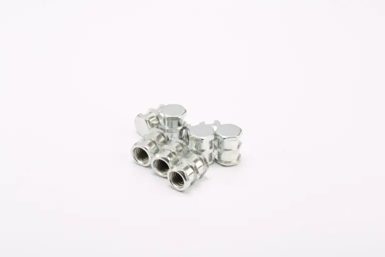 Embedded-nut-04